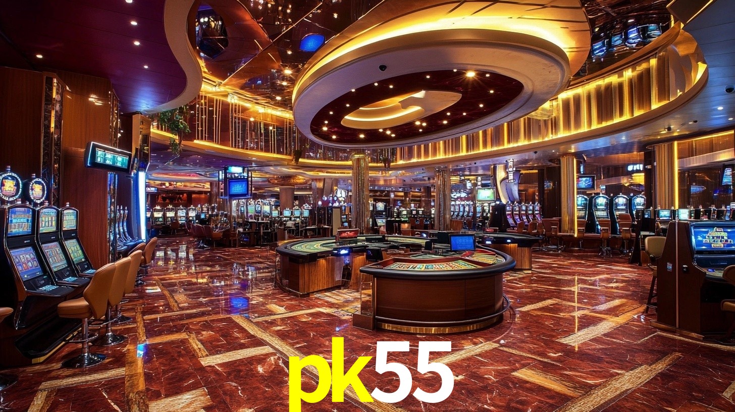 pk55 App Interface